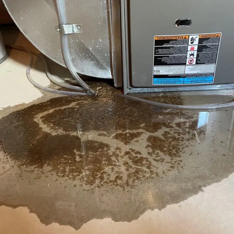 Pipe Burst and Leak Restoration in Spencer County, IN