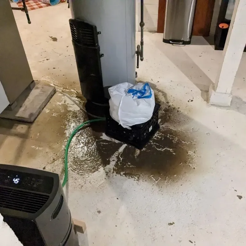 Sewage Backup Cleanup Service in Spencer County, IN